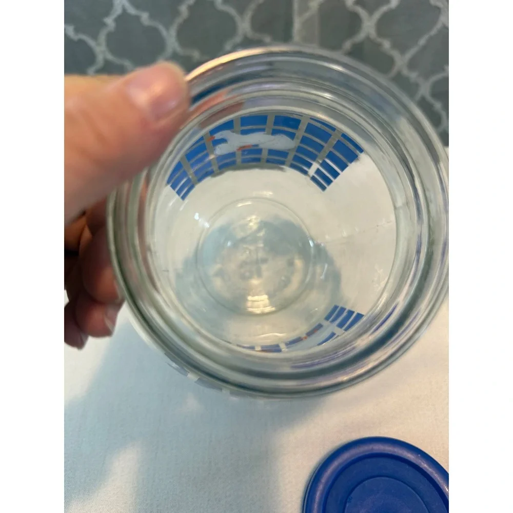 Vintage Country Geese Glass Canister Set 1L 3L Blue Checkered Jars with Lids